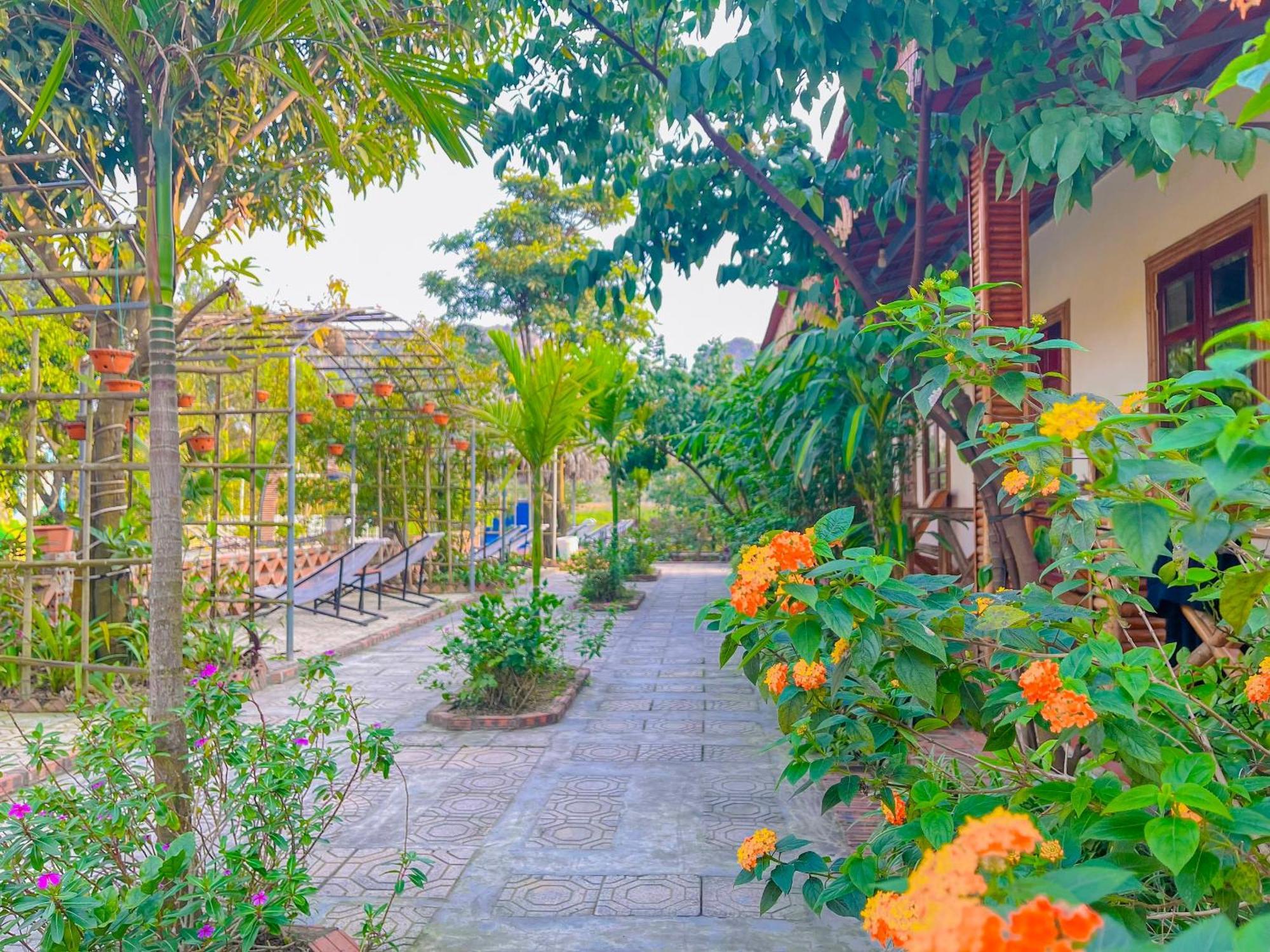 Trang An Quynh Trang Happy Homestay & Garden 宁平 外观 照片