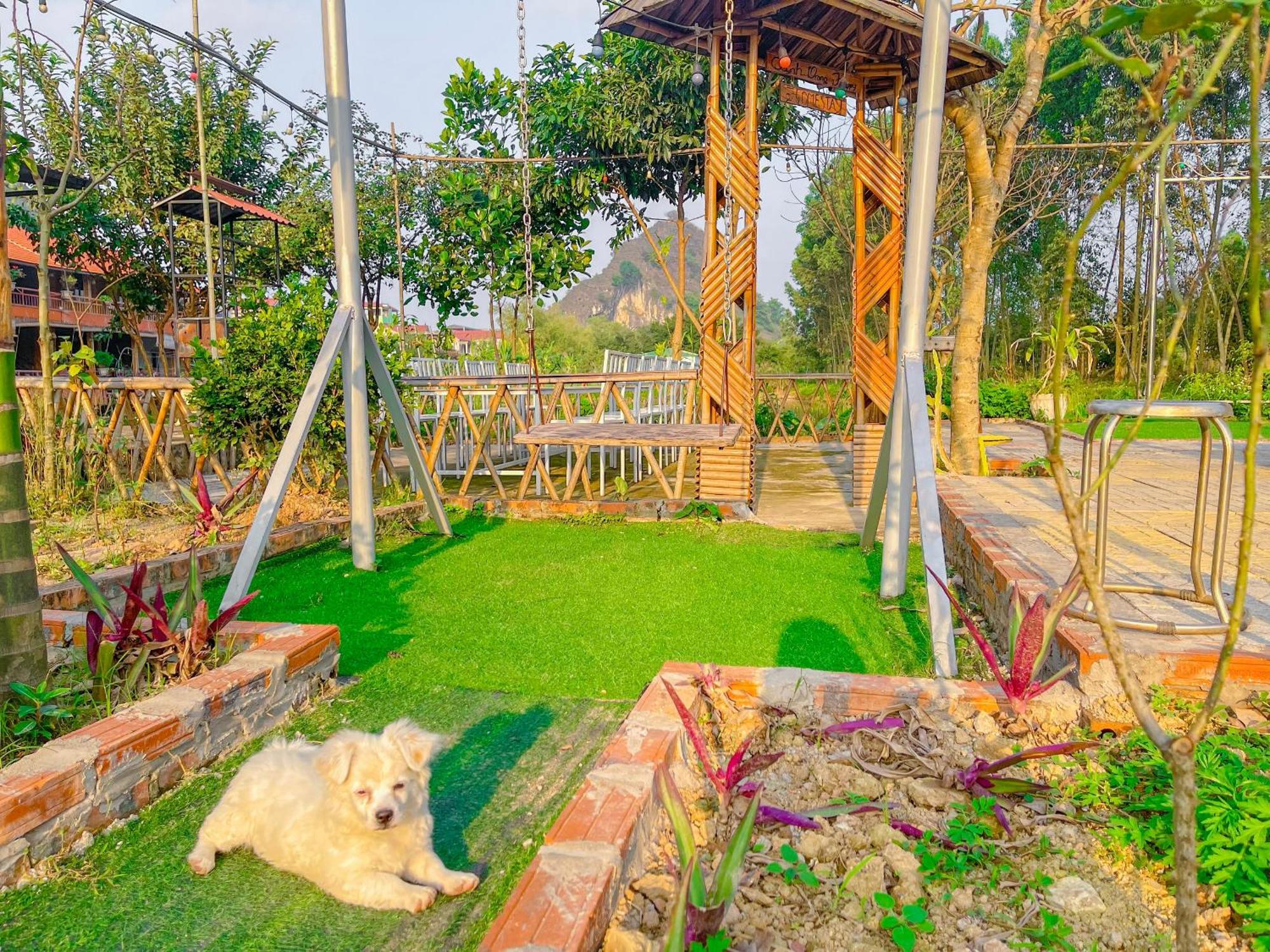 Trang An Quynh Trang Happy Homestay & Garden 宁平 外观 照片