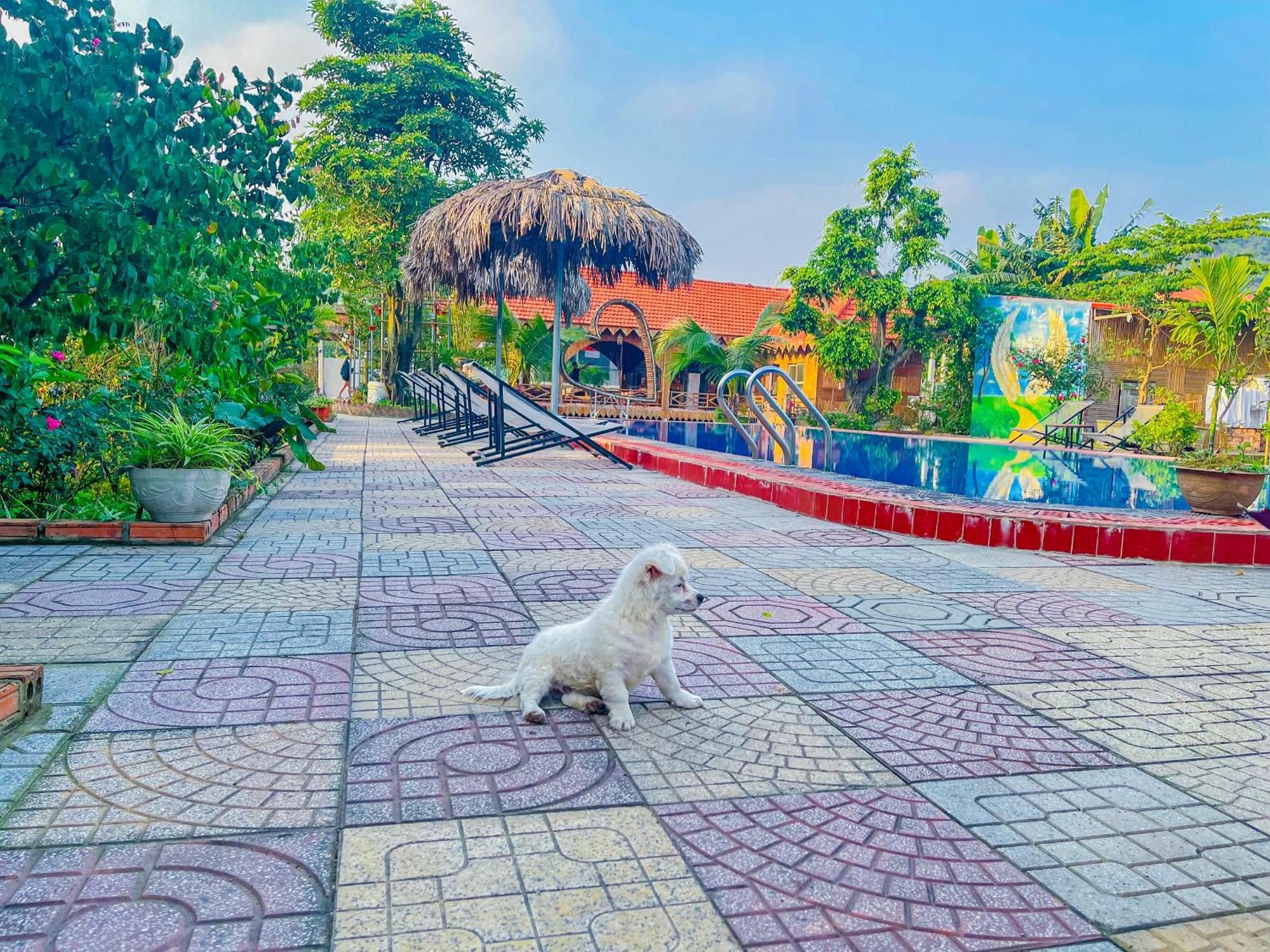 Trang An Quynh Trang Happy Homestay & Garden 宁平 外观 照片